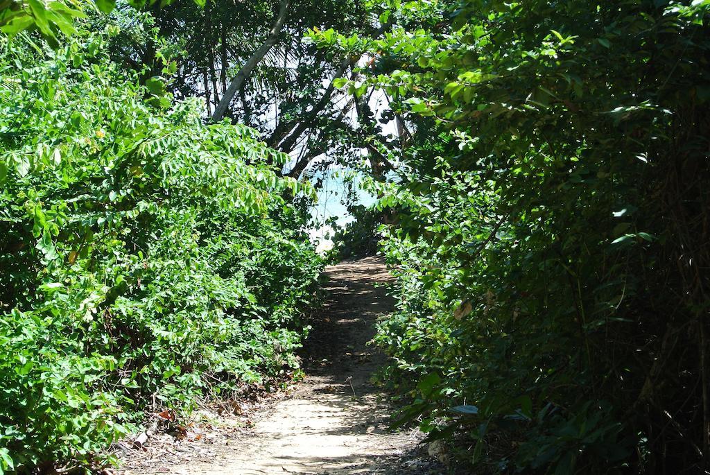 Sunrise Villa Maunabo Værelse billede